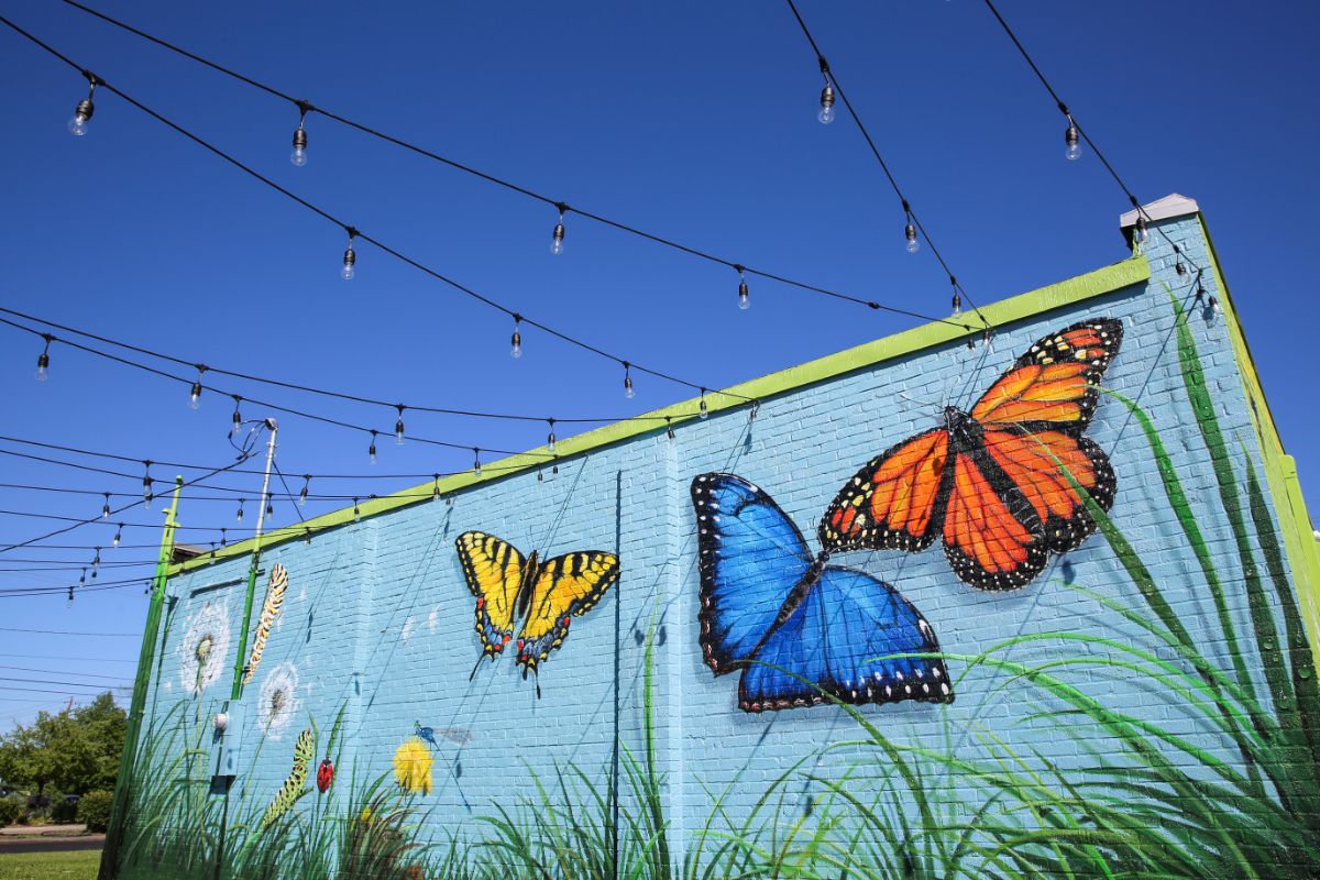 butterfly mural in Lake City