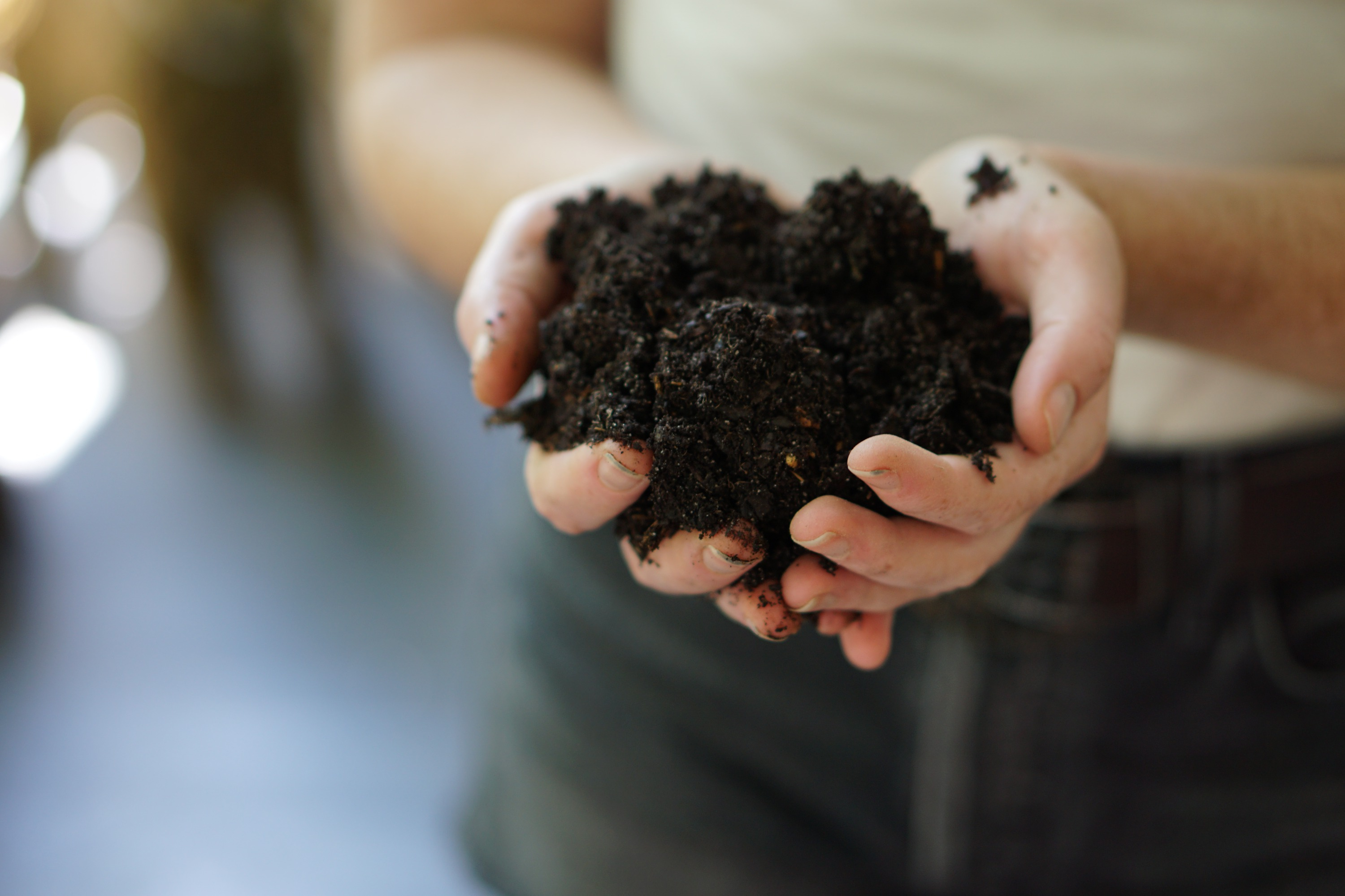 Close up of compost soil in hands
