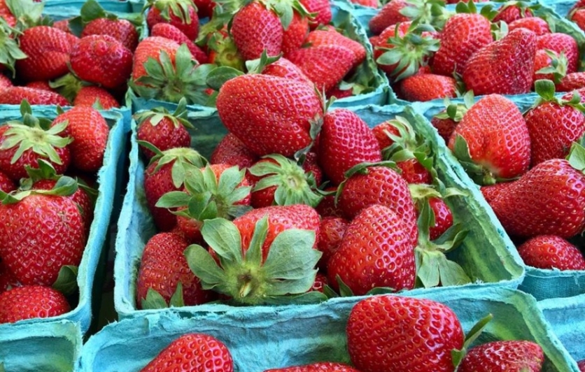 baskets full of fresh strawberries