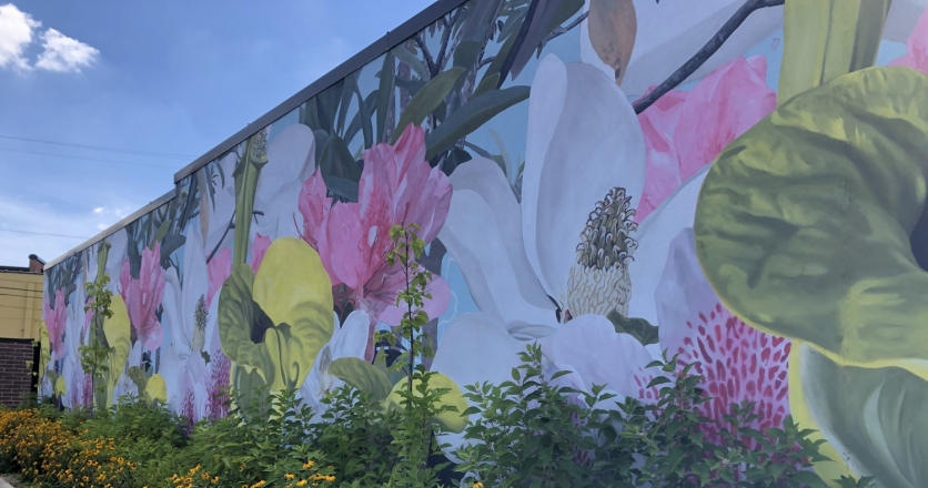 mural with white and pink flowers