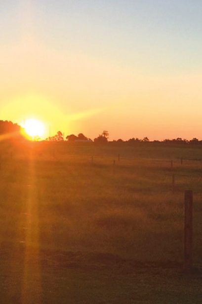 farm in South Carolina at sunset 