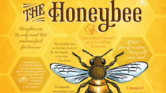 the honeybee edible ink