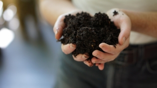 Close up of compost soil in hands